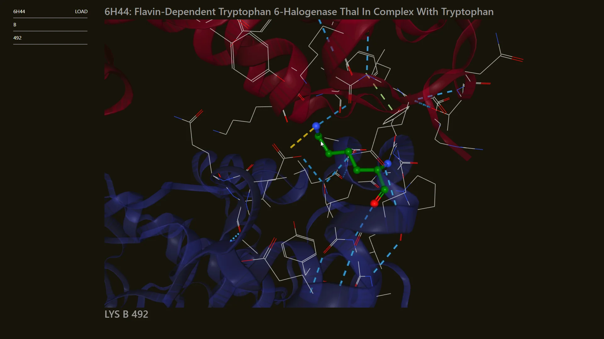 A close up view of another protein crystal structure residue residue interactions